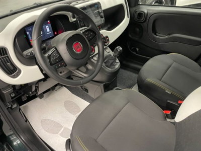 Fiat Pandina van 1.0 Hybrid 65cv S&S Pop (2)