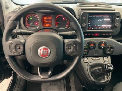 Fiat Panda Cross 1.0 firefly hybrid Cross s&s 70cv 5p.ti (14)