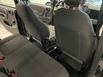 Fiat Panda Cross 1.0 firefly hybrid Cross s&s 70cv 5p.ti (2)