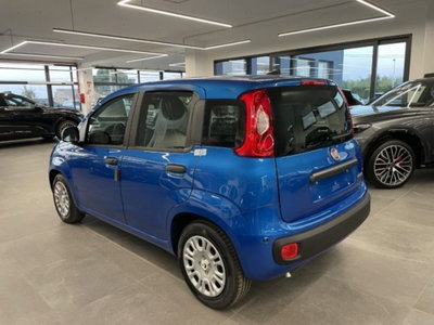 Fiat Pandina 1.0 firefly hybrid Icon s&s 65cv (4)