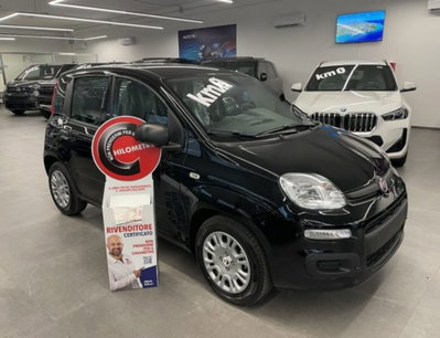 Fiat Pandina 1.0 firefly hybrid Icon s&s 65cv nuova