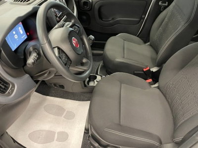Fiat Pandina 1.0 firefly hybrid Icon s&s 65cv (16)