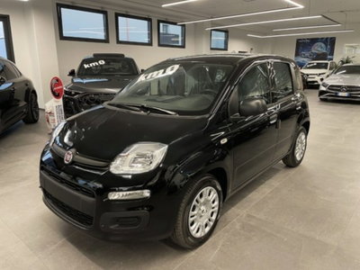 Fiat Pandina 1.0 firefly hybrid Icon s&s 65cv (17)