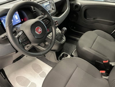 Fiat Pandina 1.0 firefly hybrid Icon s&s 65cv (2)