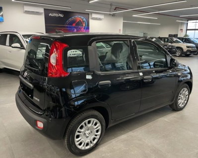 Fiat Pandina 1.0 firefly hybrid Icon s&s 65cv (4)