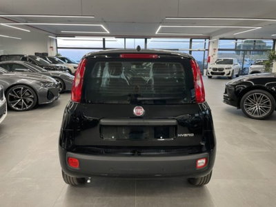 Fiat Pandina 1.0 firefly hybrid Icon s&s 65cv (6)