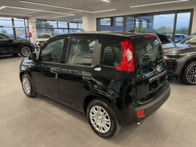 Fiat Pandina 1.0 firefly hybrid Icon s&s 65cv (7)