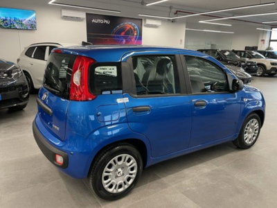 Fiat Pandina 1.0 firefly hybrid Icon s&s 65cv (15)