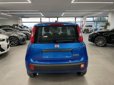 Fiat Pandina 1.0 firefly hybrid Icon s&s 65cv (3)