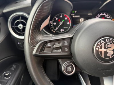 Alfa Romeo Stelvio Stelvio 2.2 Turbodiesel 190 CV AT8 Q4 Super Business (16)