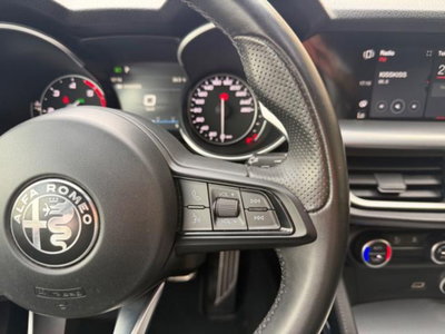 Alfa Romeo Stelvio Stelvio 2.2 Turbodiesel 190 CV AT8 Q4 Super Business (17)