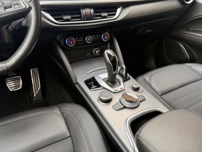 Alfa Romeo Stelvio Stelvio 2.2 Turbodiesel 190 CV AT8 Q4 Super Business (19)