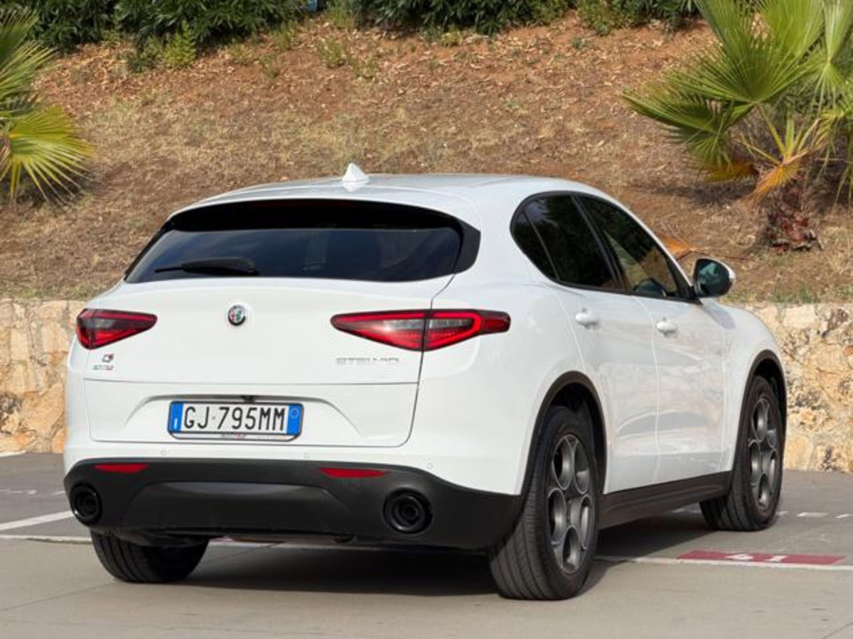 Alfa Romeo Stelvio Stelvio 2.2 Turbodiesel 190 CV AT8 Q4 Super Business (8)
