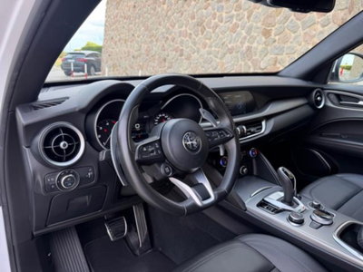 Alfa Romeo Stelvio Stelvio 2.2 Turbodiesel 190 CV AT8 Q4 Super Business (9)