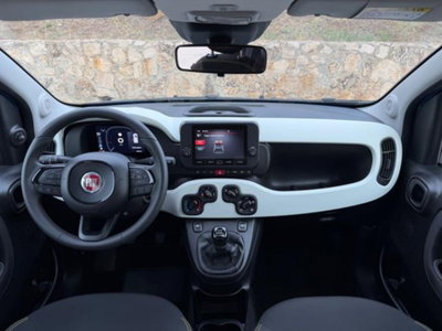 Fiat Panda Cross 1.0 firefly hybrid Cross s&s 70cv 5p.ti (12)