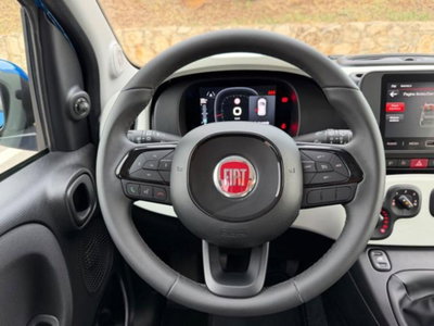 Fiat Panda Cross 1.0 firefly hybrid Cross s&s 70cv 5p.ti (14)