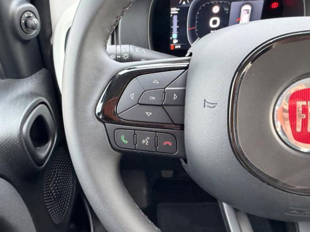 Fiat Panda Cross 1.0 firefly hybrid Cross s&s 70cv 5p.ti (16)