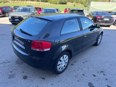 Audi A3 1.6 Attraction (5)