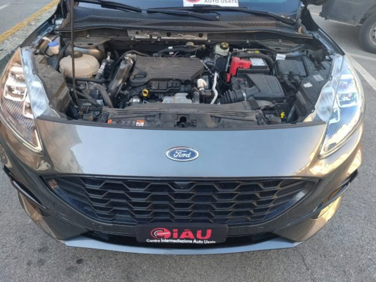 Ford Kuga 1.5 EcoBlue 120 CV 2WD ST-Line (14)