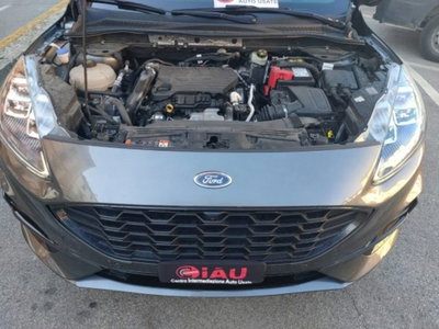 Ford Kuga 1.5 EcoBlue 120 CV 2WD ST-Line (14)