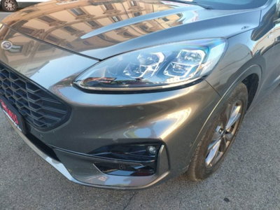 Ford Kuga 1.5 EcoBlue 120 CV 2WD ST-Line (18)
