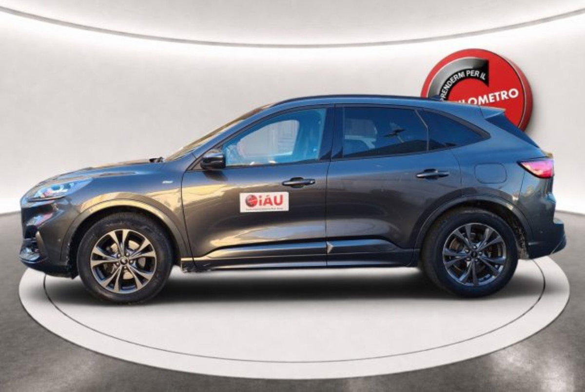 Ford Kuga 1.5 EcoBlue 120 CV 2WD ST-Line (4)