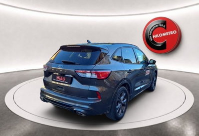 Ford Kuga 1.5 EcoBlue 120 CV 2WD ST-Line (7)