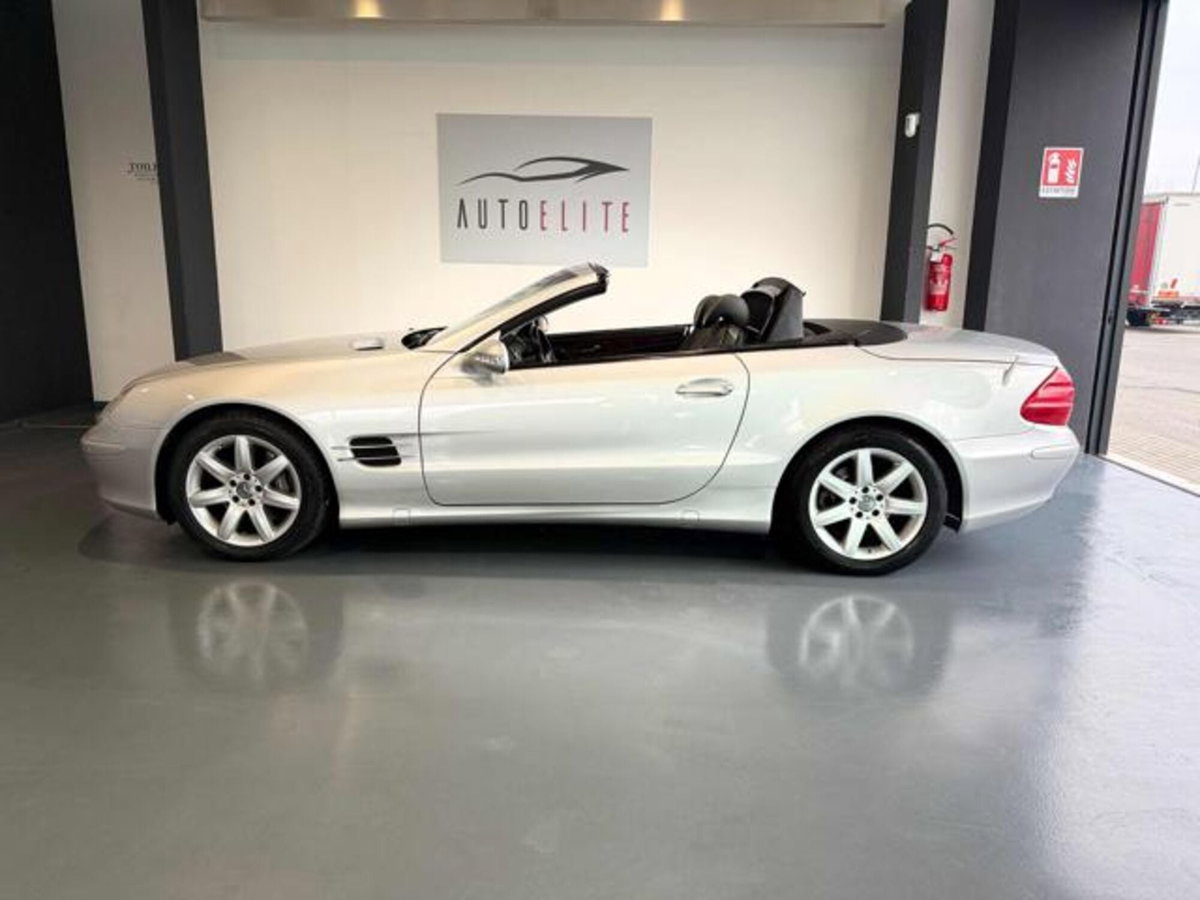 Mercedes-Benz SL 500 cat (17)