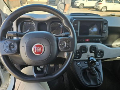 Fiat Panda Cross 1.0 firefly hybrid Cross s&s 70cv 5p.ti (11)