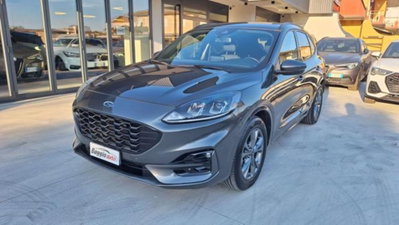 Ford Kuga 1.5 EcoBlue 120 CV 2WD ST-Line usata