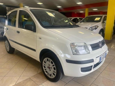 Fiat Panda 1.2 Climbing Natural Power usata