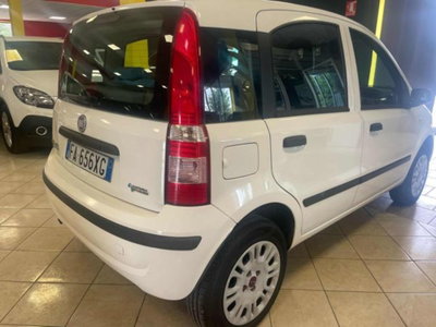 Fiat Panda 1.2 Climbing Natural Power (2)