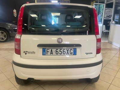 Fiat Panda 1.2 Climbing Natural Power (3)