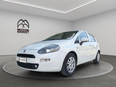 Fiat Punto 1.3 MJT II S&S 95 CV 5 porte Lounge usata