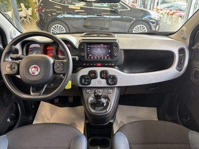 Fiat Panda Cross 1.0 firefly hybrid Cross s&s 70cv 5p.ti (11)