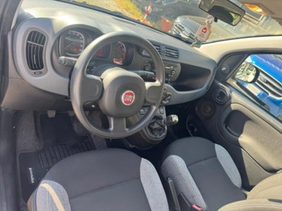 Fiat Panda 1.0 firefly hybrid s&s 70cv 5p.ti (10)