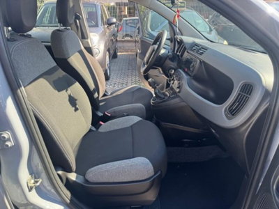 Fiat Panda 1.0 firefly hybrid s&s 70cv 5p.ti (14)