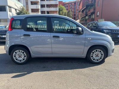 Fiat Panda 1.0 firefly hybrid s&s 70cv 5p.ti (4)