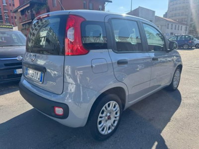Fiat Panda 1.0 firefly hybrid s&s 70cv 5p.ti (6)