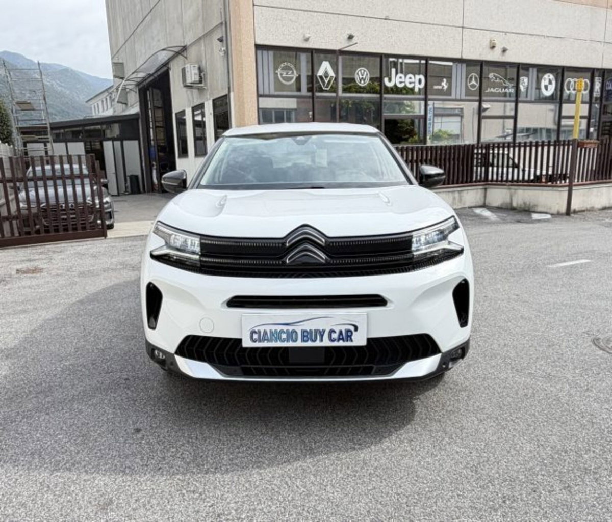 Citroen C5 Aircross Aircross BlueHDi 130 S&S EAT8 Feel Pack (5)