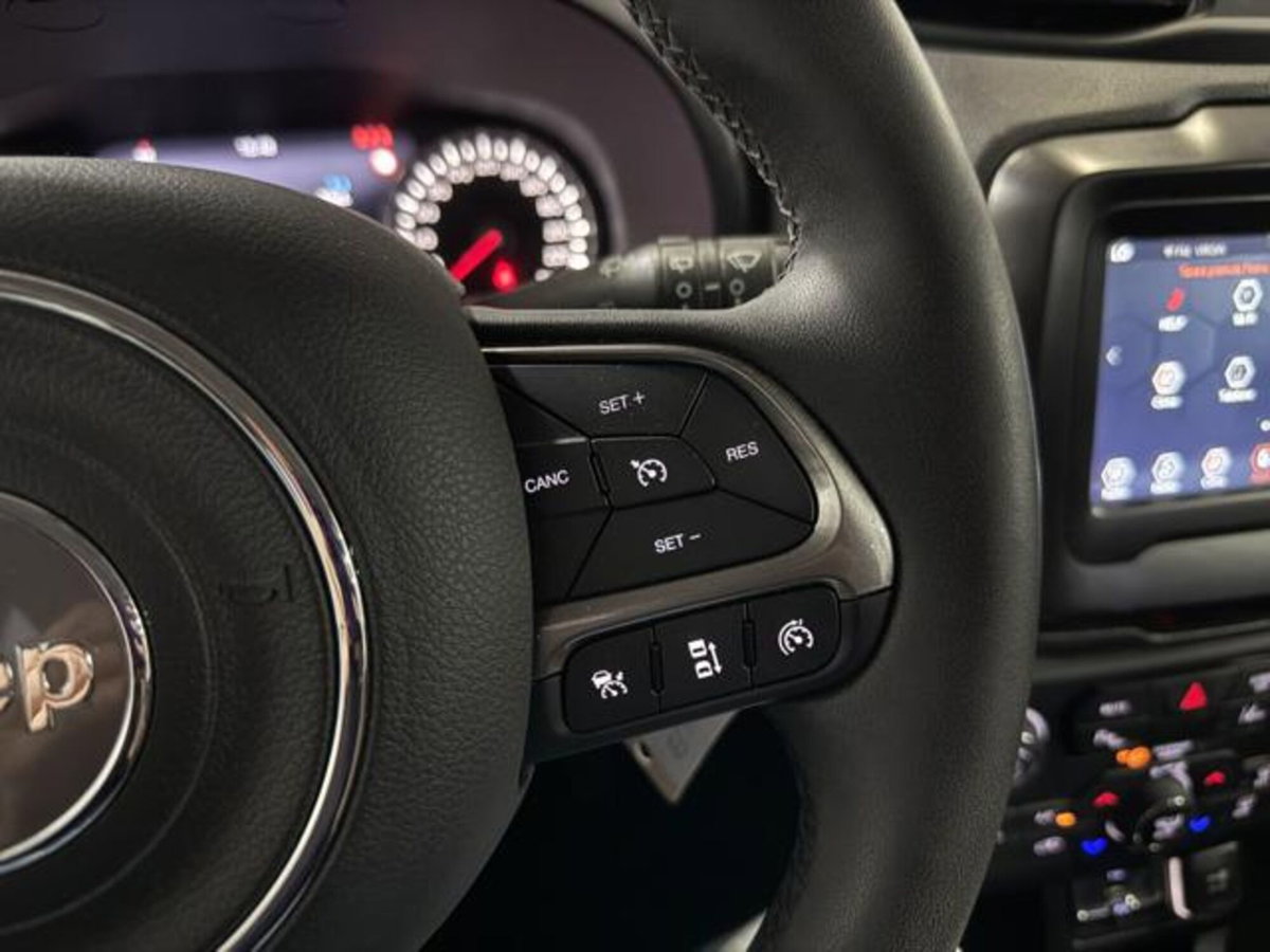 Jeep Renegade 1.6 Mjt 130 CV Limited (14)