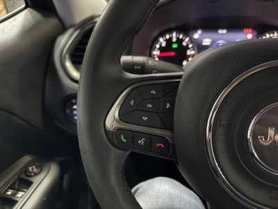 Jeep Renegade 1.6 Mjt 130 CV Limited (15)
