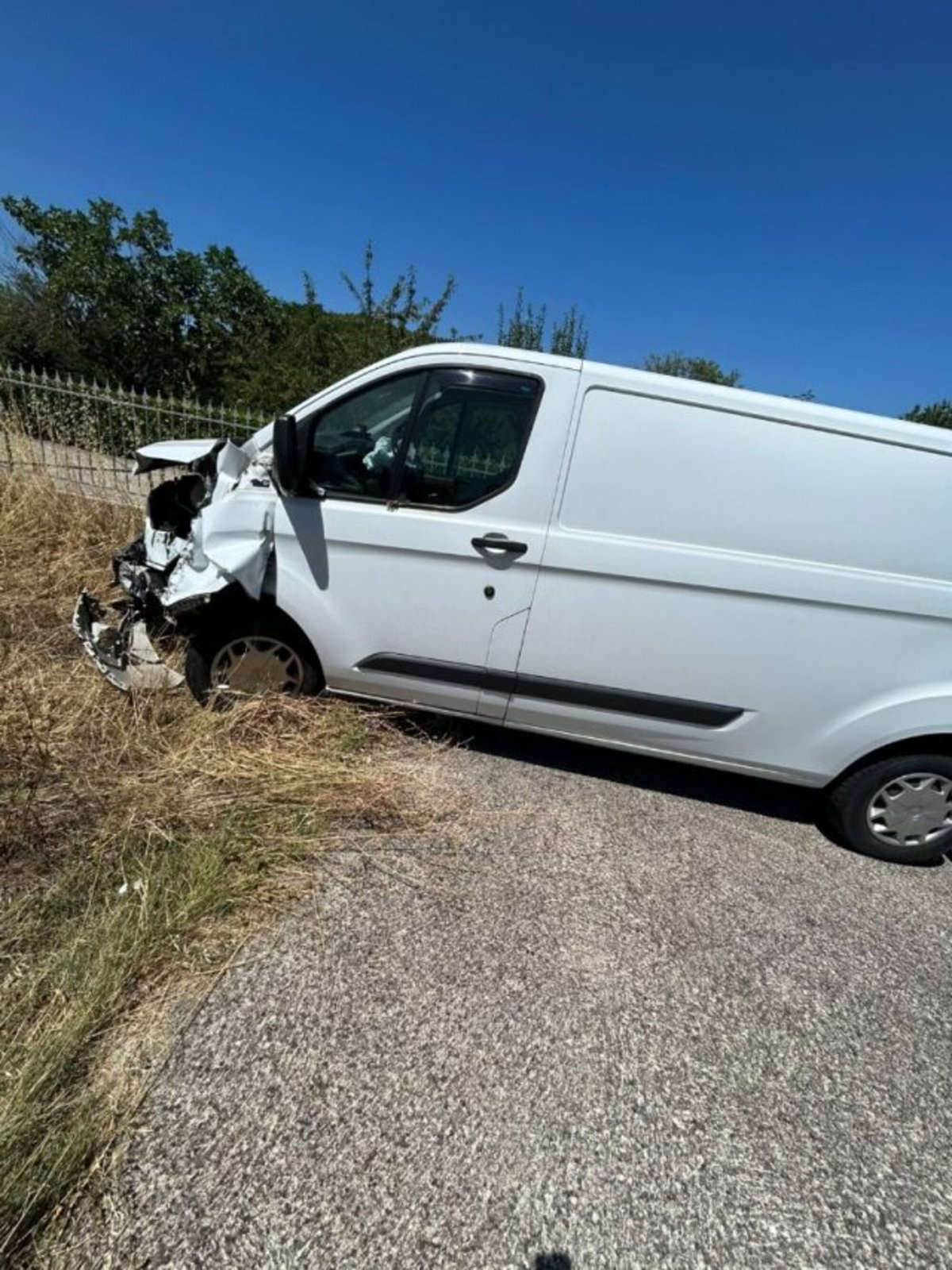 Ford Tourneo Custom 300 2.2 TDCi 125CV PL Titanium (3)