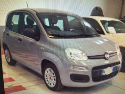 Fiat Panda 1.2 EasyPower usata