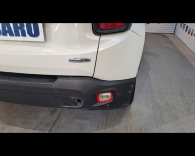 Jeep Renegade 1.6 Mjt 120 CV Longitude (12)