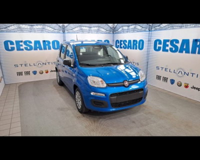 Fiat Pandina 1.0 firefly hybrid Icon s&s 65cv nuova