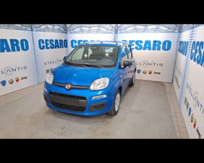 Fiat Pandina 1.0 firefly hybrid Icon s&s 65cv (2)