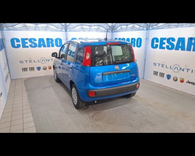 Fiat Pandina 1.0 firefly hybrid Icon s&s 65cv (4)