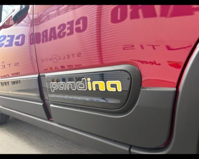 Fiat Pandina 1.0 firefly hybrid s&s 65cv (20)