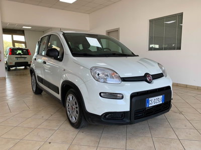Fiat Panda Cross Cross 1.0 FireFly S&S Hybrid (3)